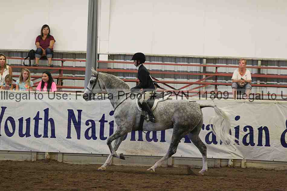 Proof Number 12yn_11809