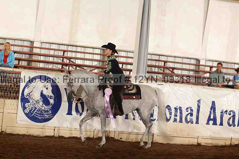 Proof Number 12yn_09318
