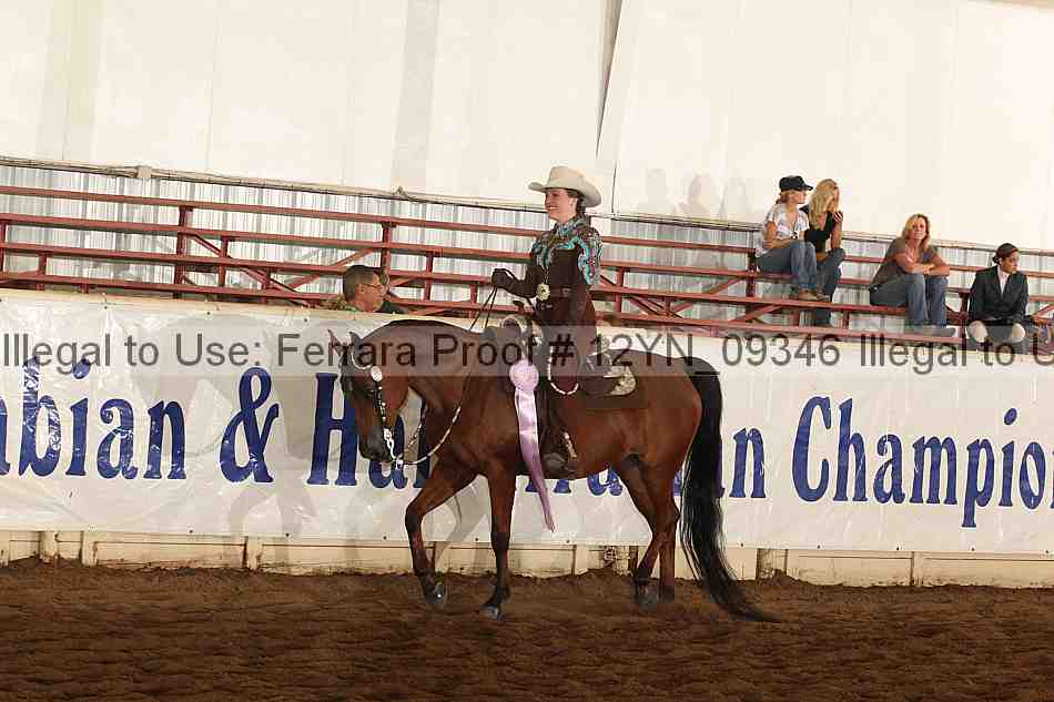 Proof Number 12yn_09346