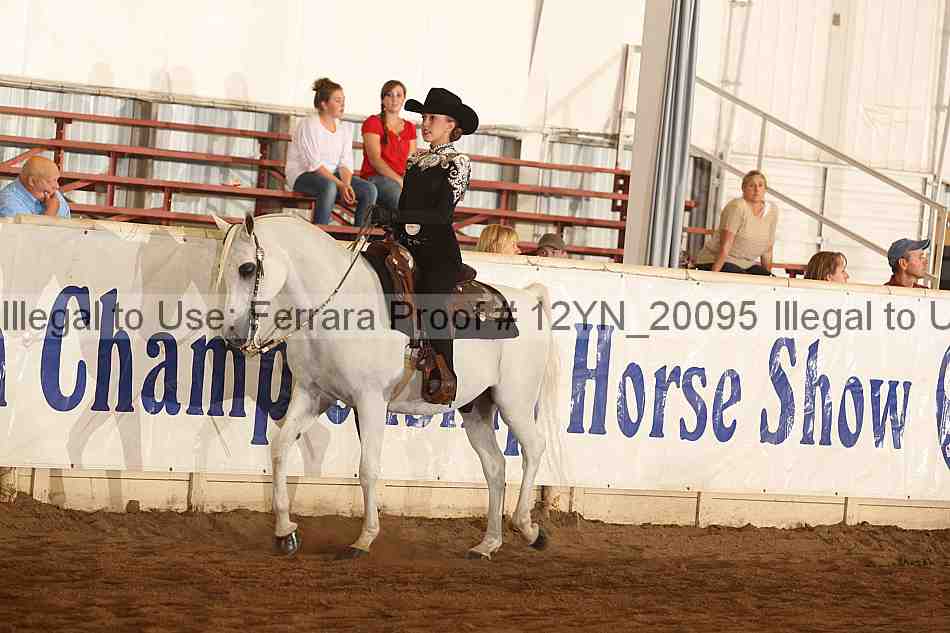 Proof Number 12yn_20095