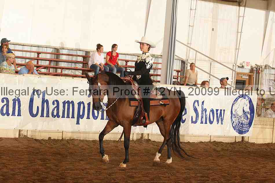Proof Number 12yn_20099