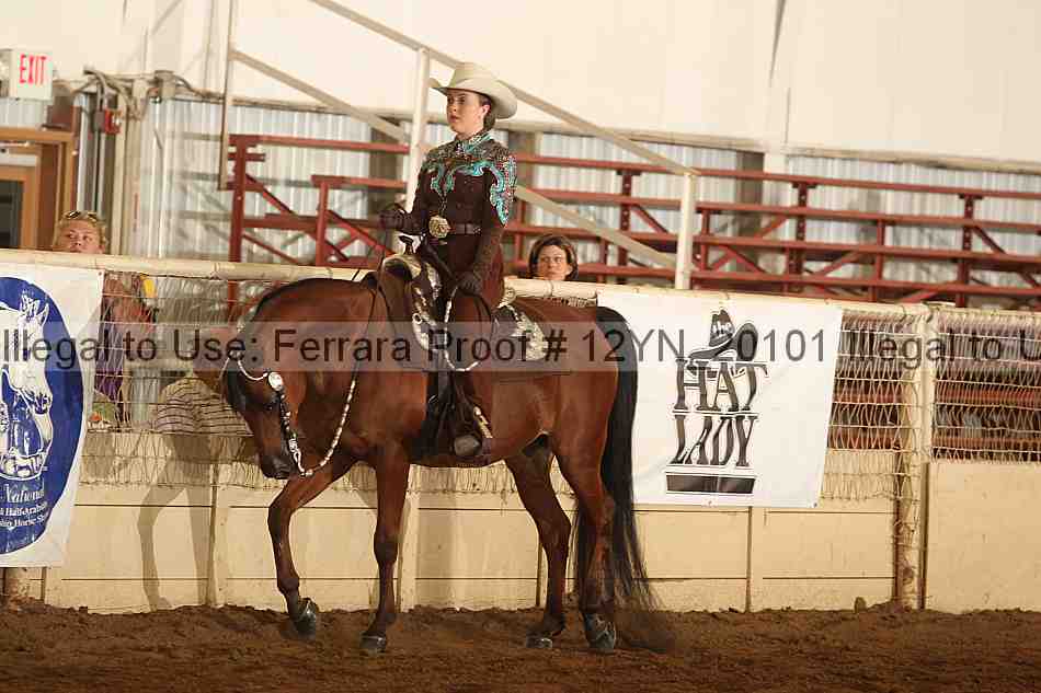 Proof Number 12yn_20101