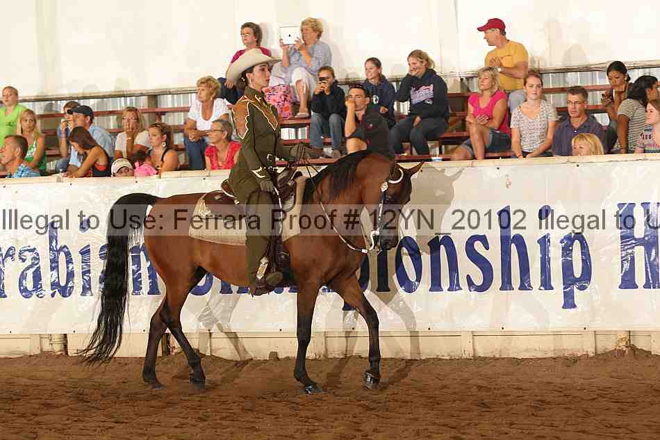 Proof Number 12yn_20102