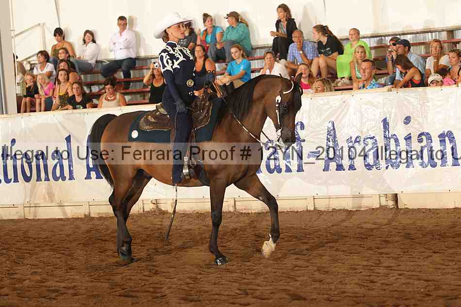 Proof Number 12yn_20104