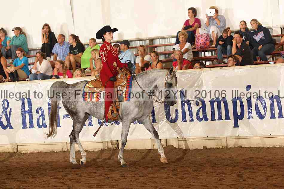 Proof Number 12yn_20106