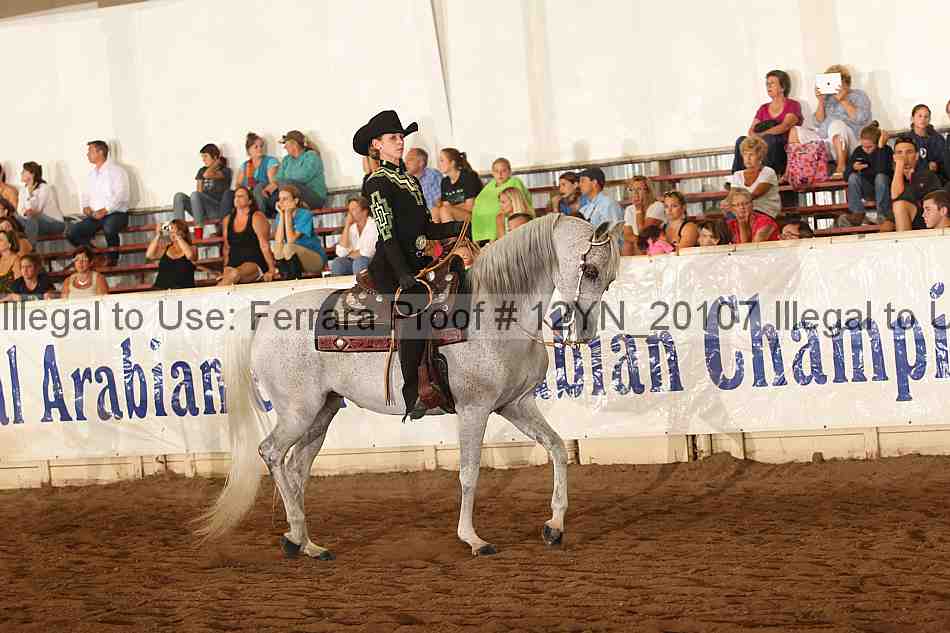 Proof Number 12yn_20107