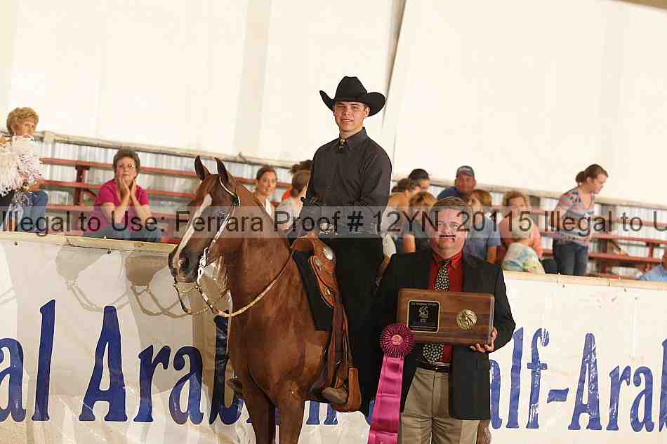 Proof Number 12yn_20115