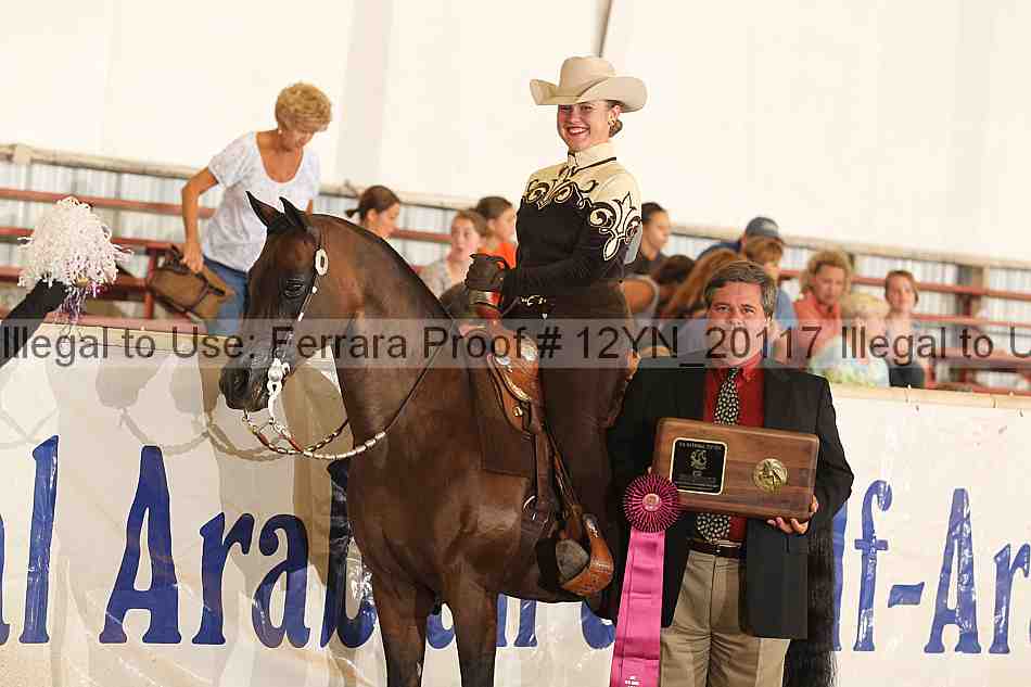 Proof Number 12yn_20117