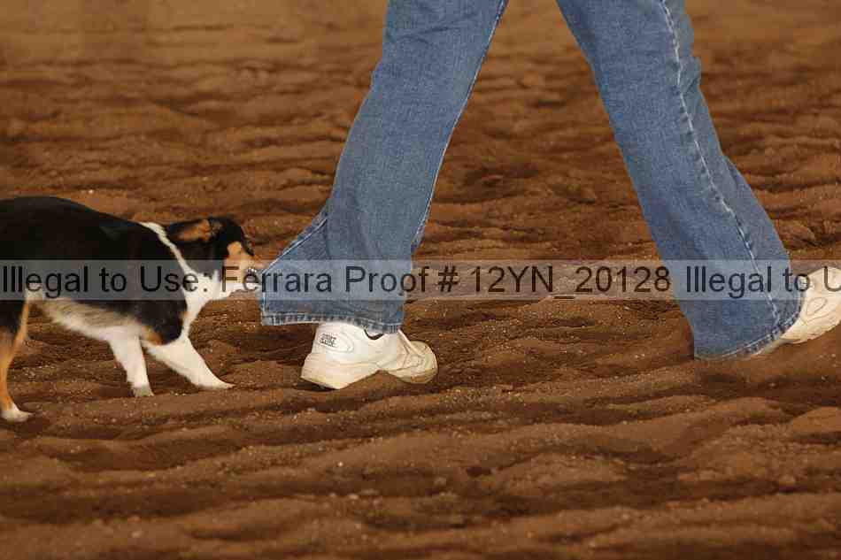 Proof Number 12yn_20128