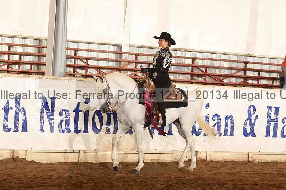 Proof Number 12yn_20134