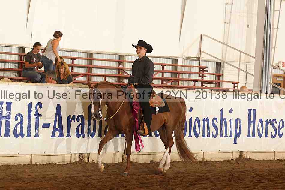 Proof Number 12yn_20138