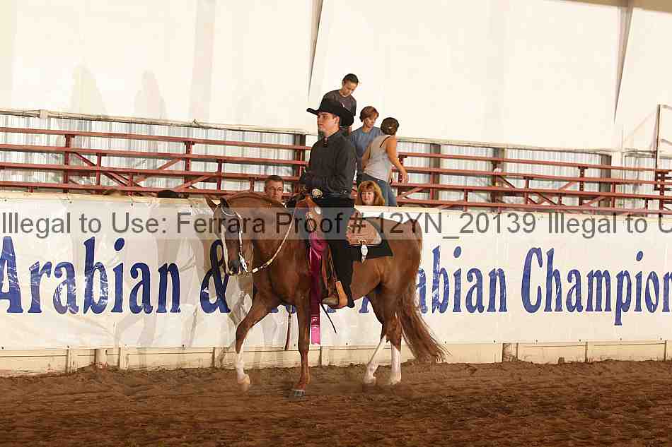 Proof Number 12yn_20139