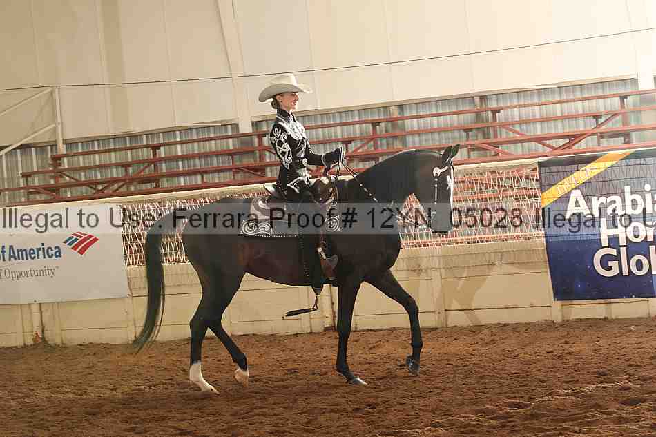 Proof Number 12yn_05028