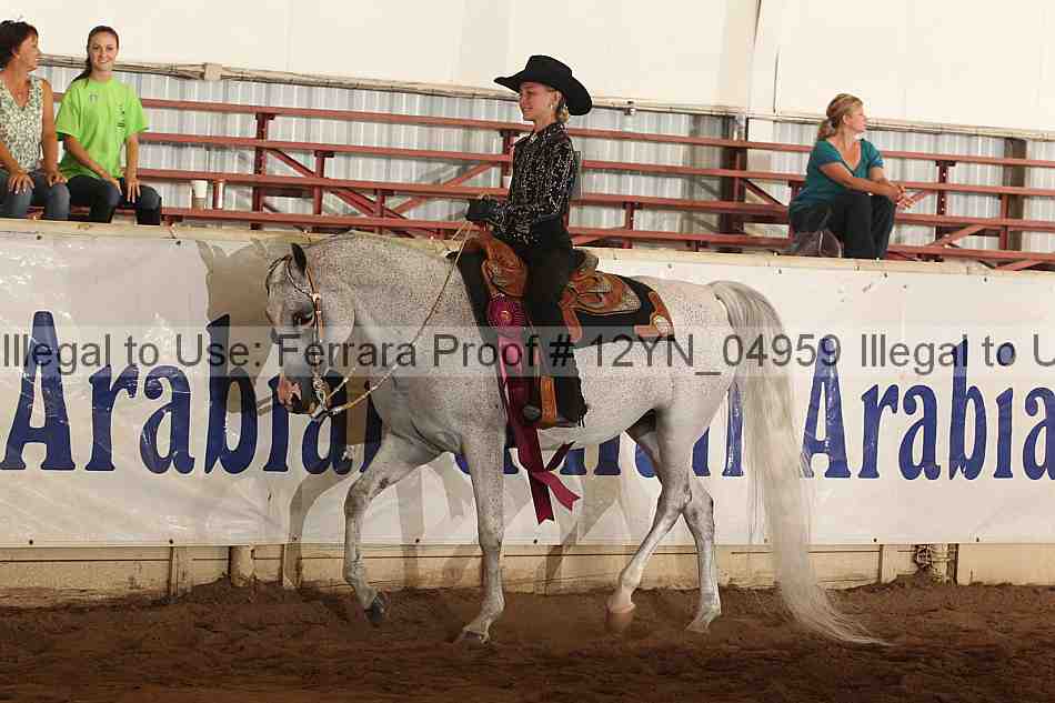Proof Number 12yn_04959