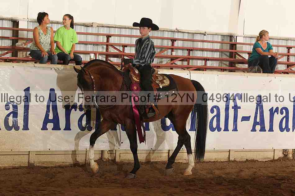 Proof Number 12yn_04964