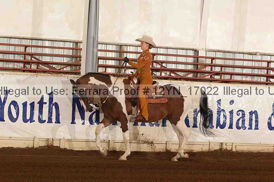 Proof Number 12yn_17022