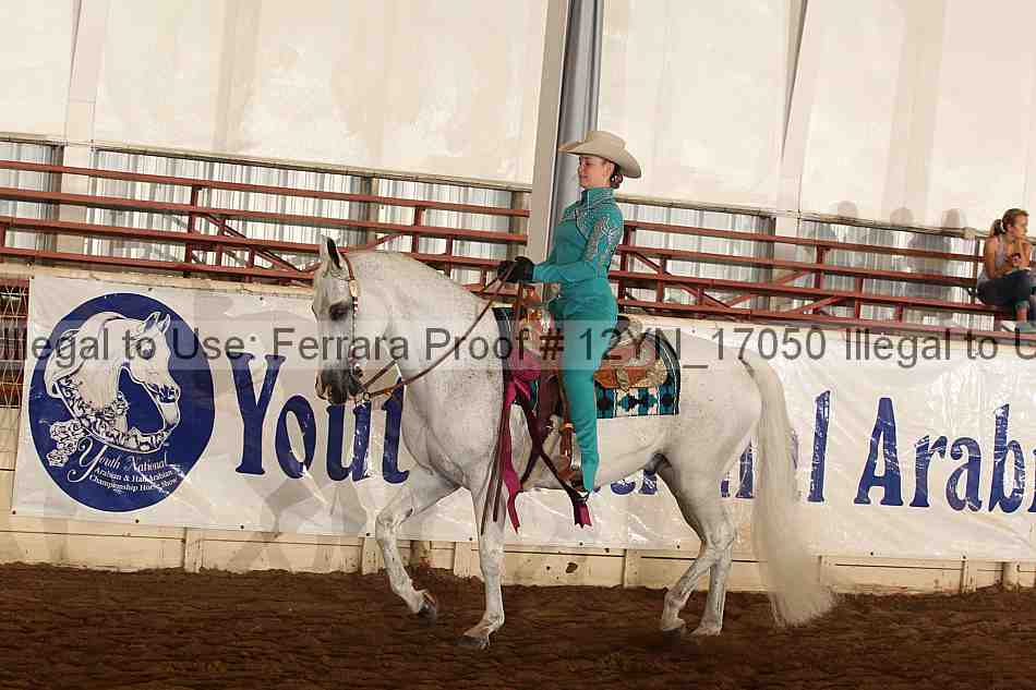 Proof Number 12yn_17050