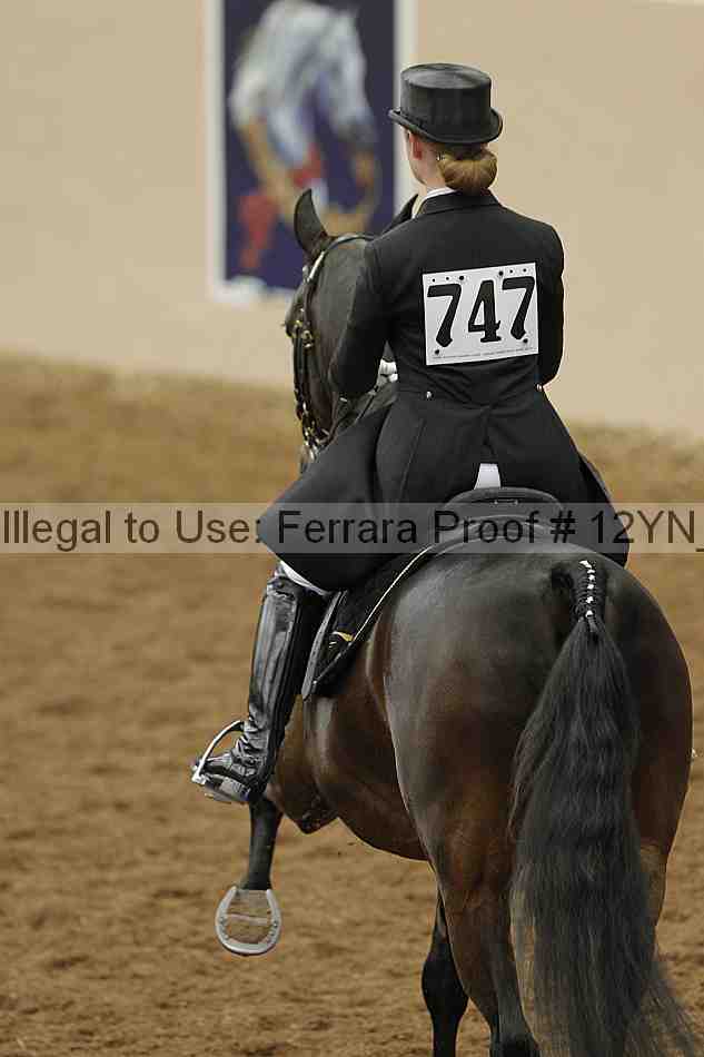 Proof Number 12yn_02075
