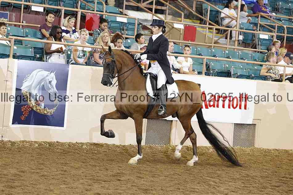 Proof Number 12yn_02095