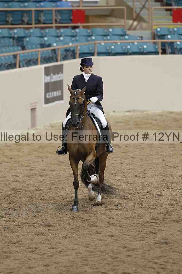 Proof Number 12yn_02106