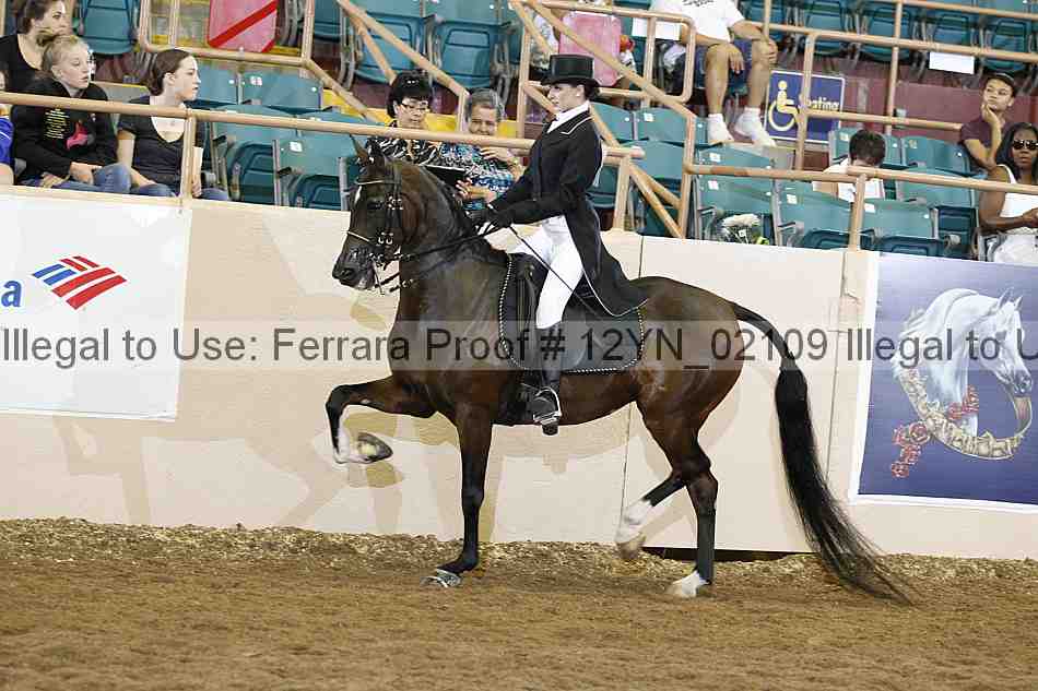 Proof Number 12yn_02109