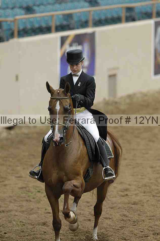 Proof Number 12yn_02122