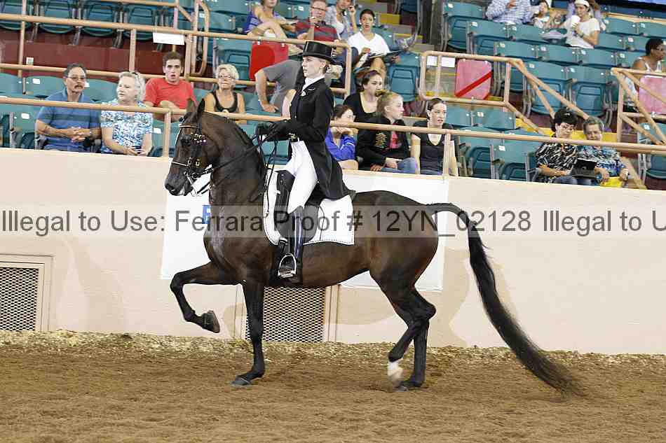 Proof Number 12yn_02128