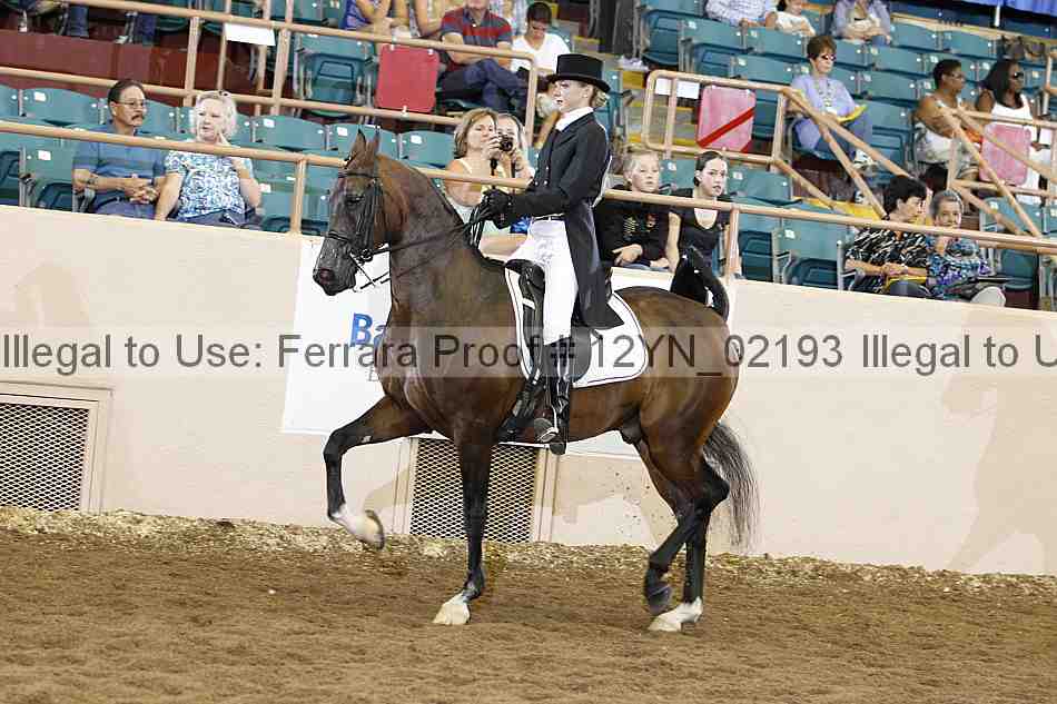 Proof Number 12yn_02193