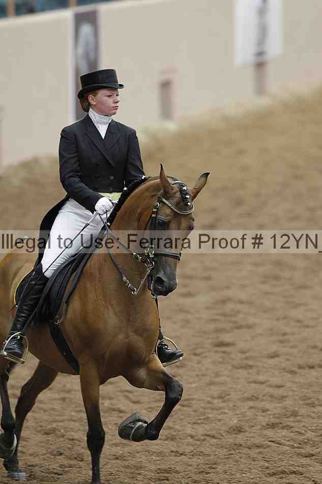 Proof Number 12yn_02194