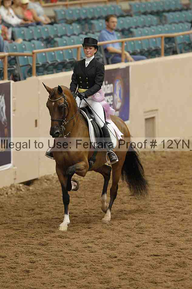 Proof Number 12yn_02259