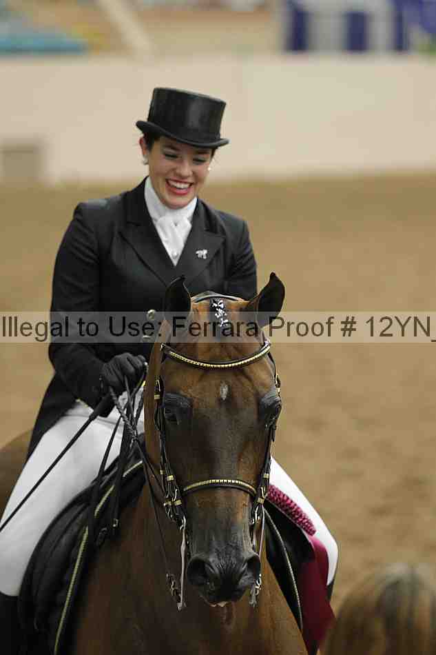 Proof Number 12yn_22585