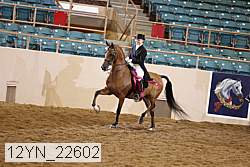 12yn_22602 thumbnail