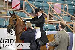 12yn_22605 thumbnail
