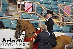 12yn_22606 thumbnail