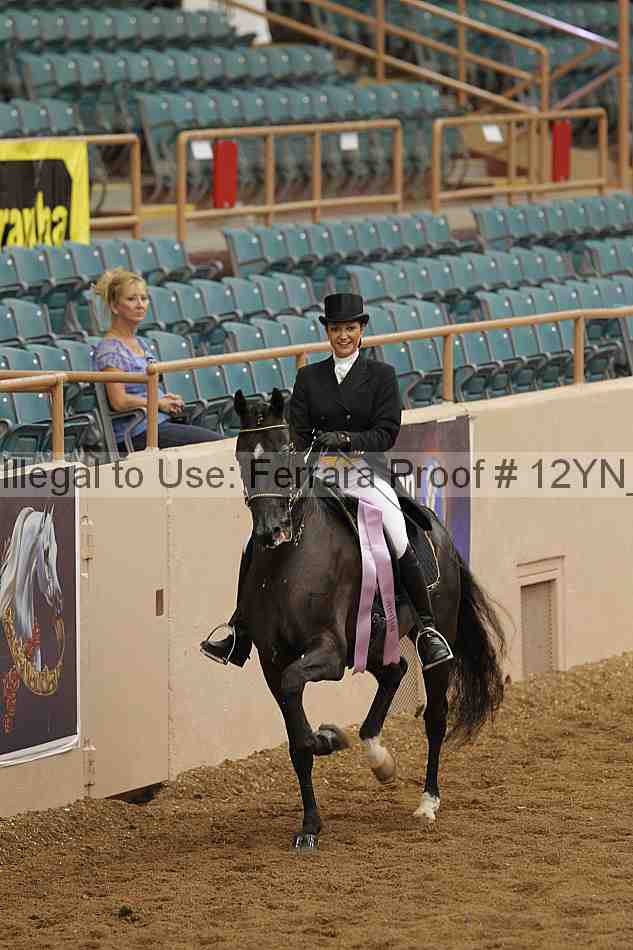 Proof Number 12yn_05298