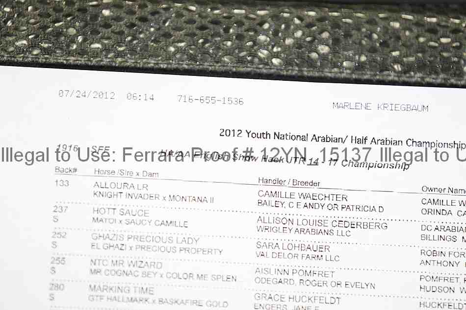Proof Number 12yn_15137