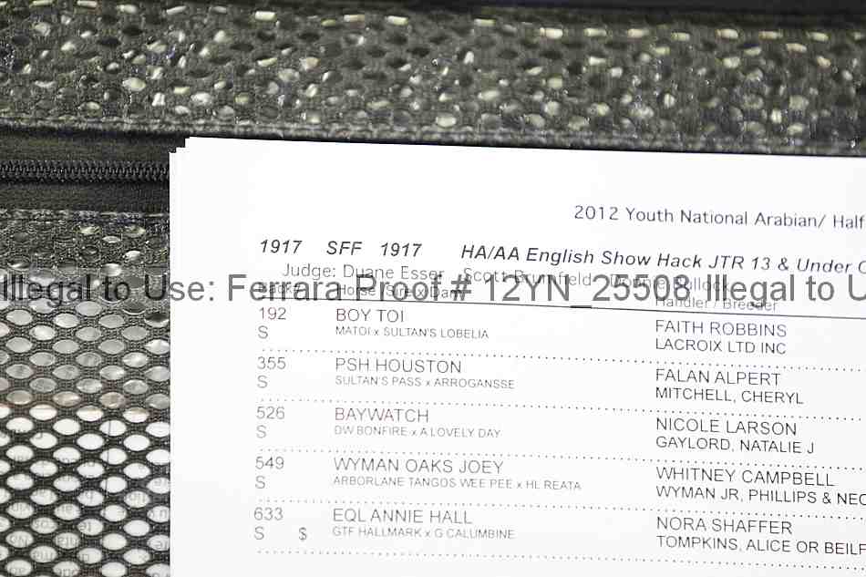 Proof Number 12yn_25508