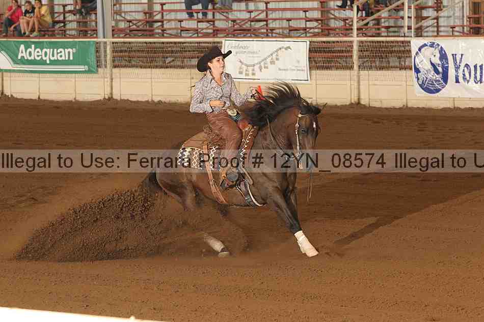 Proof Number 12yn_08574