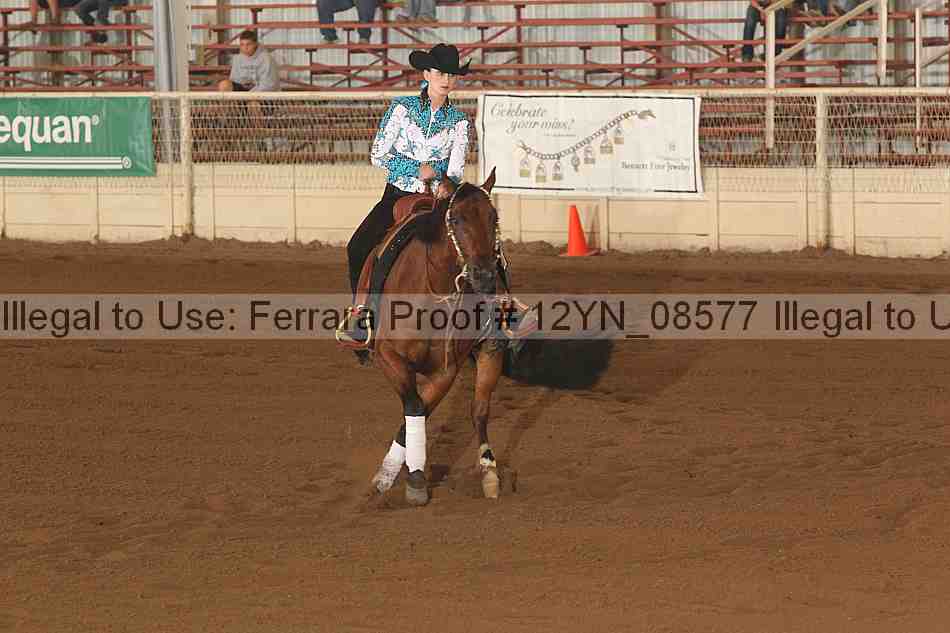 Proof Number 12yn_08577