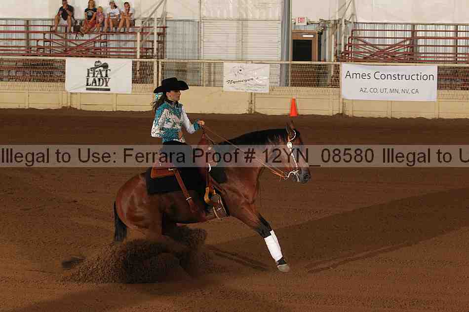 Proof Number 12yn_08580