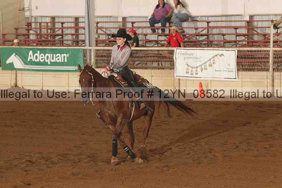Proof Number 12yn_08582