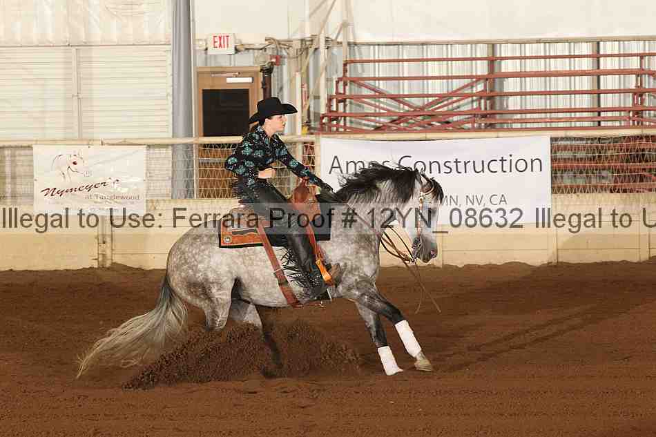 Proof Number 12yn_08632