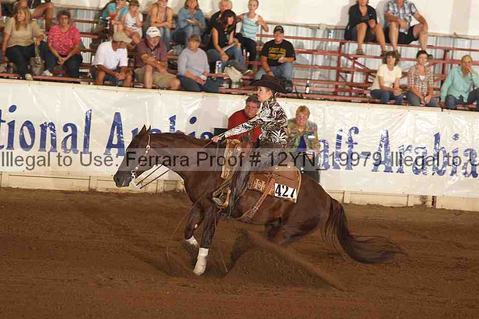 Proof Number 12yn_19979