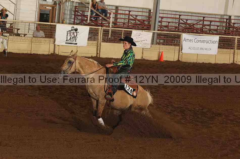 Proof Number 12yn_20009
