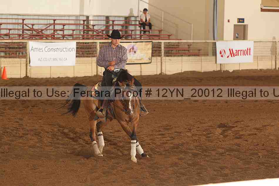 Proof Number 12yn_20012