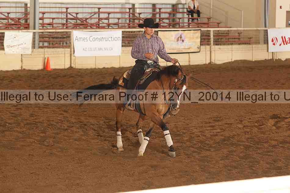 Proof Number 12yn_20014