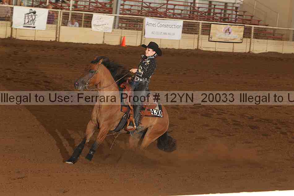 Proof Number 12yn_20033