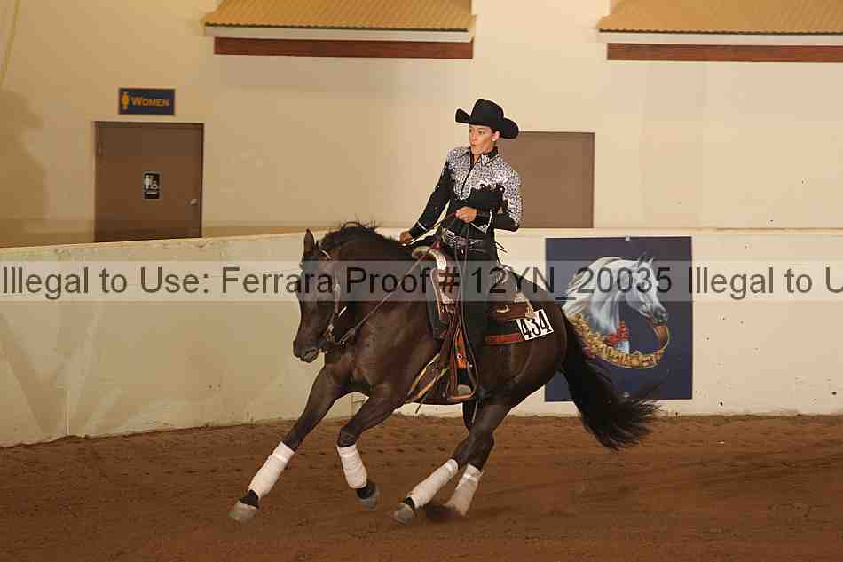 Proof Number 12yn_20035