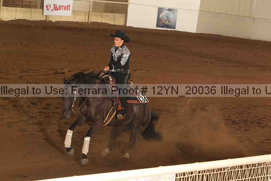 Proof Number 12yn_20036