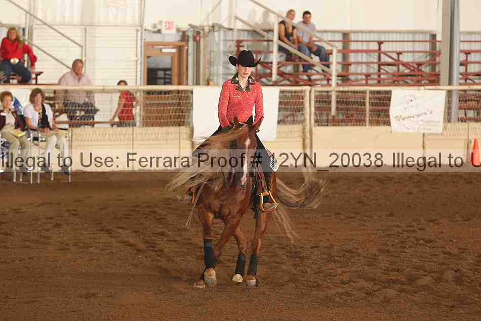 Proof Number 12yn_20038